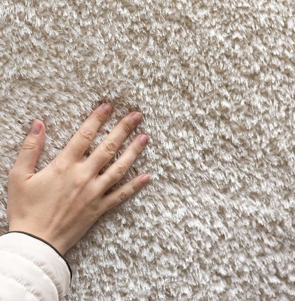 Cleaning Carpet Stains