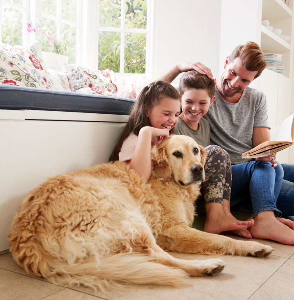 Keeping pets in rented property